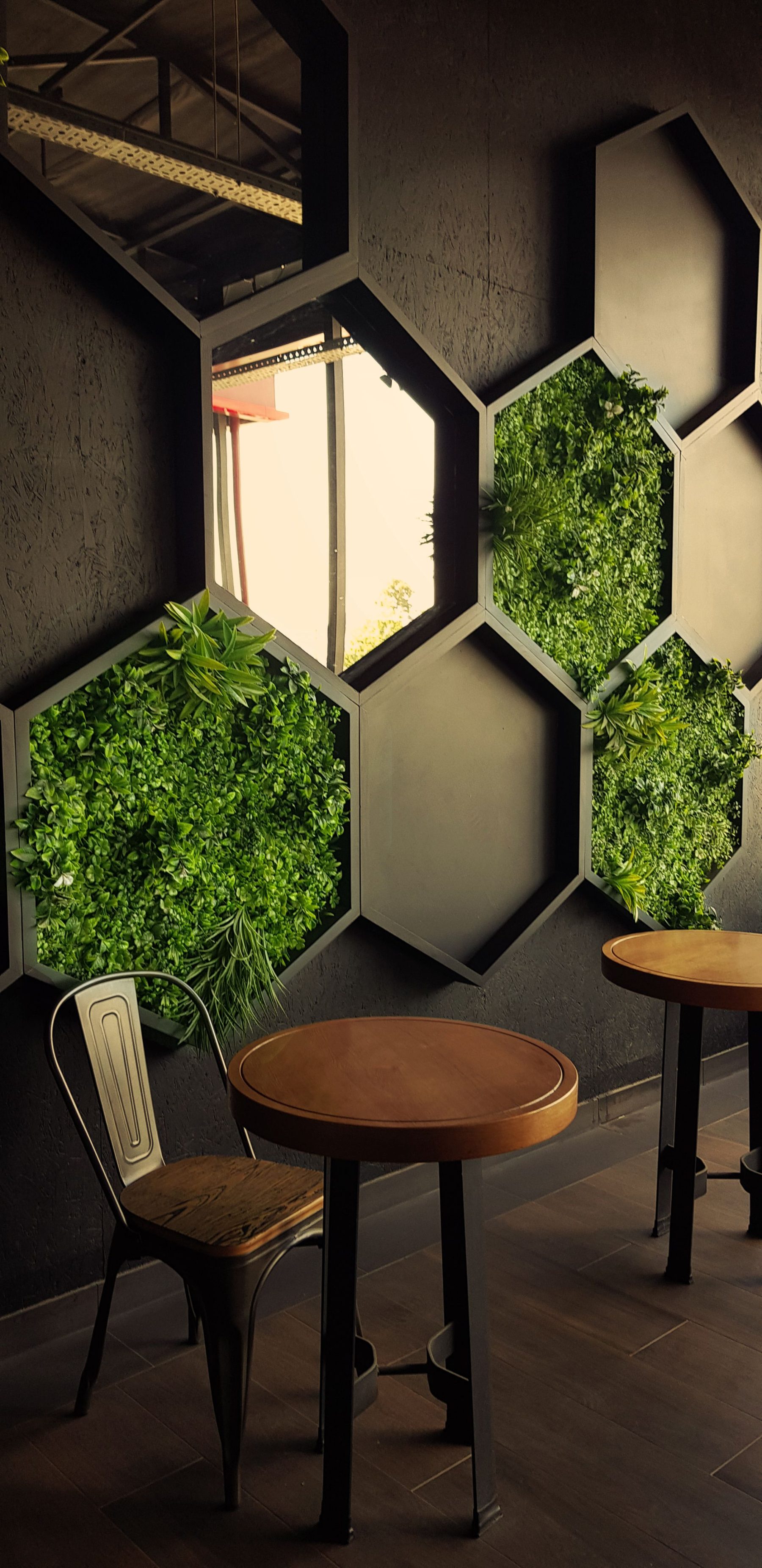 Diseño conceptual y ambientación